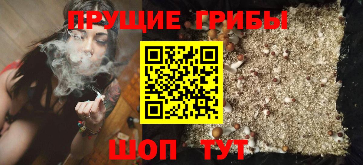 Псилоцибиновые грибы Psilocybe  Вход с VPN  закладки  Псилоцибиновые грибы MAGIC MUSHROOMS  Алушта 