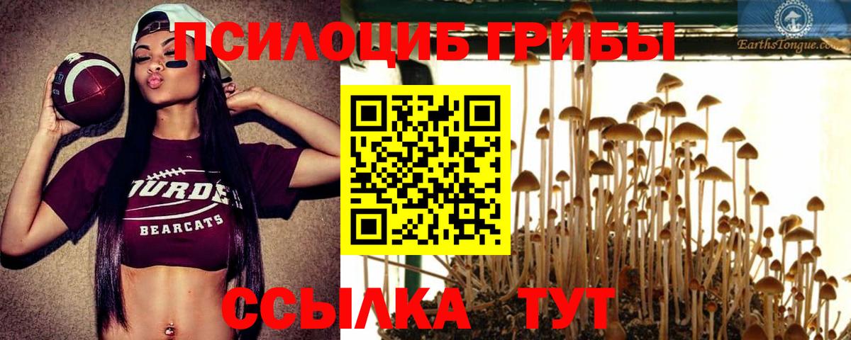Галлюциногенные грибы GOLDEN TEACHER Алушта